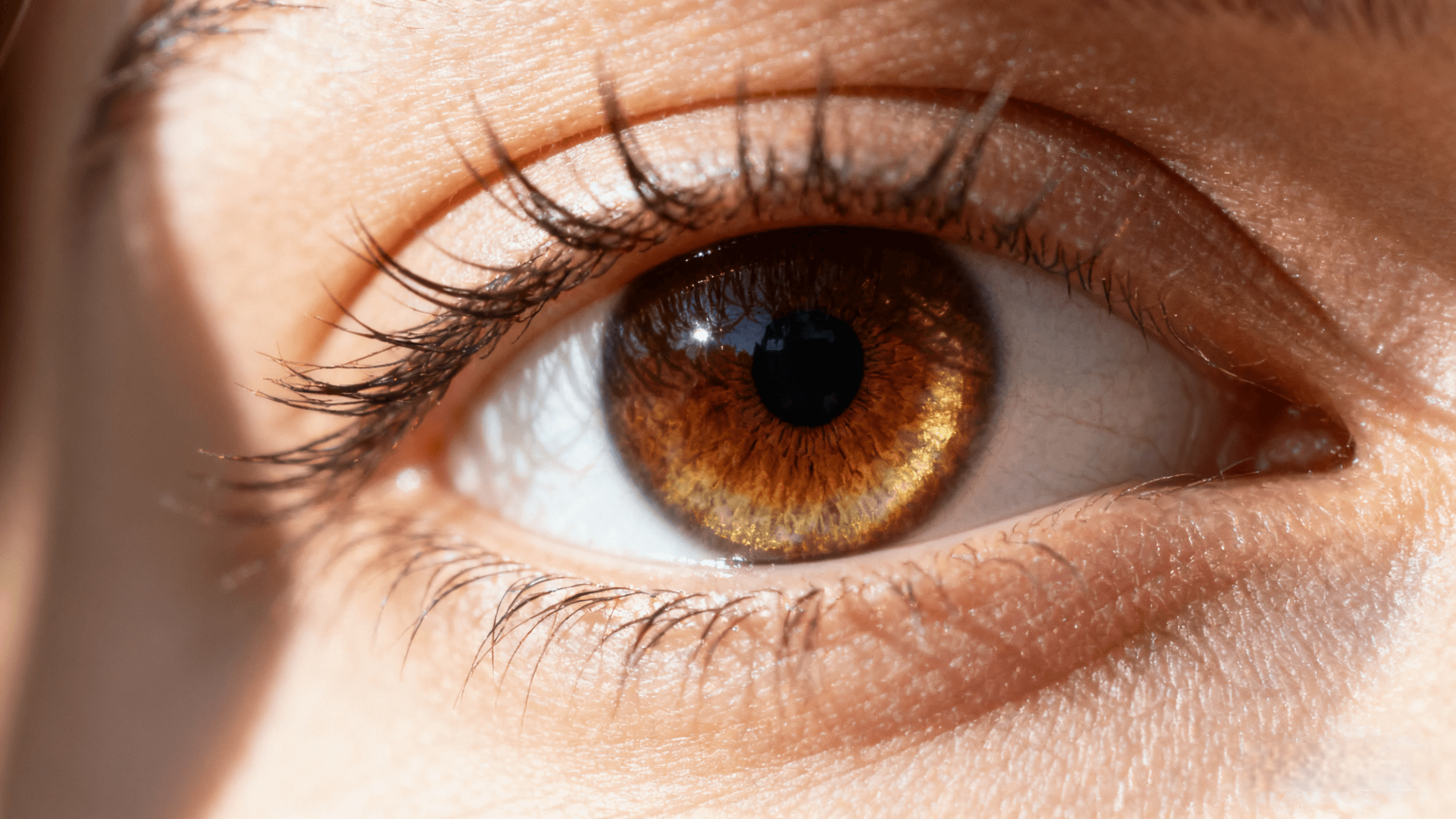 Close-up of a amber brown human eye showing natural beauty, clarity, and calm expression.