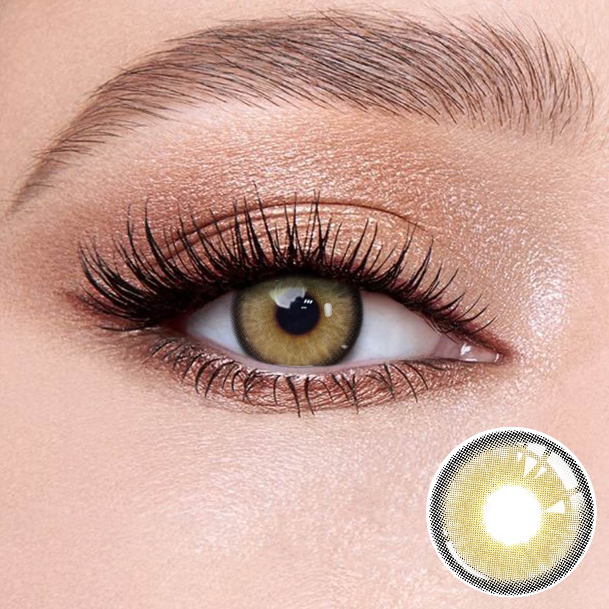 Wooeye Himalayan Brown Contact Lenses | 1 Year