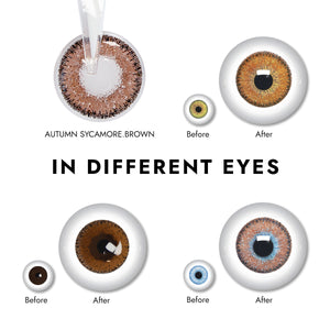 Effect display of wearing Autumn Sycamore Brown Contact Lenses for different eye colors