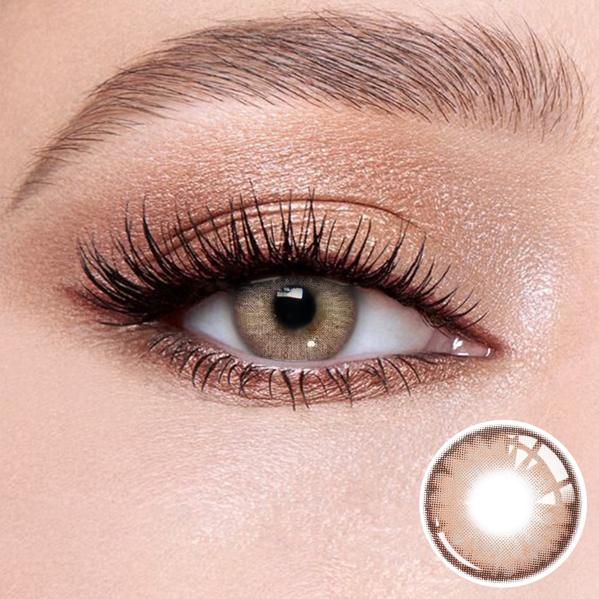Wooeye Queen Brown III Contact Lenses | 1 Year