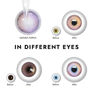 Effect display of wearing Sakura Purple Contact Lenses for different eye colors