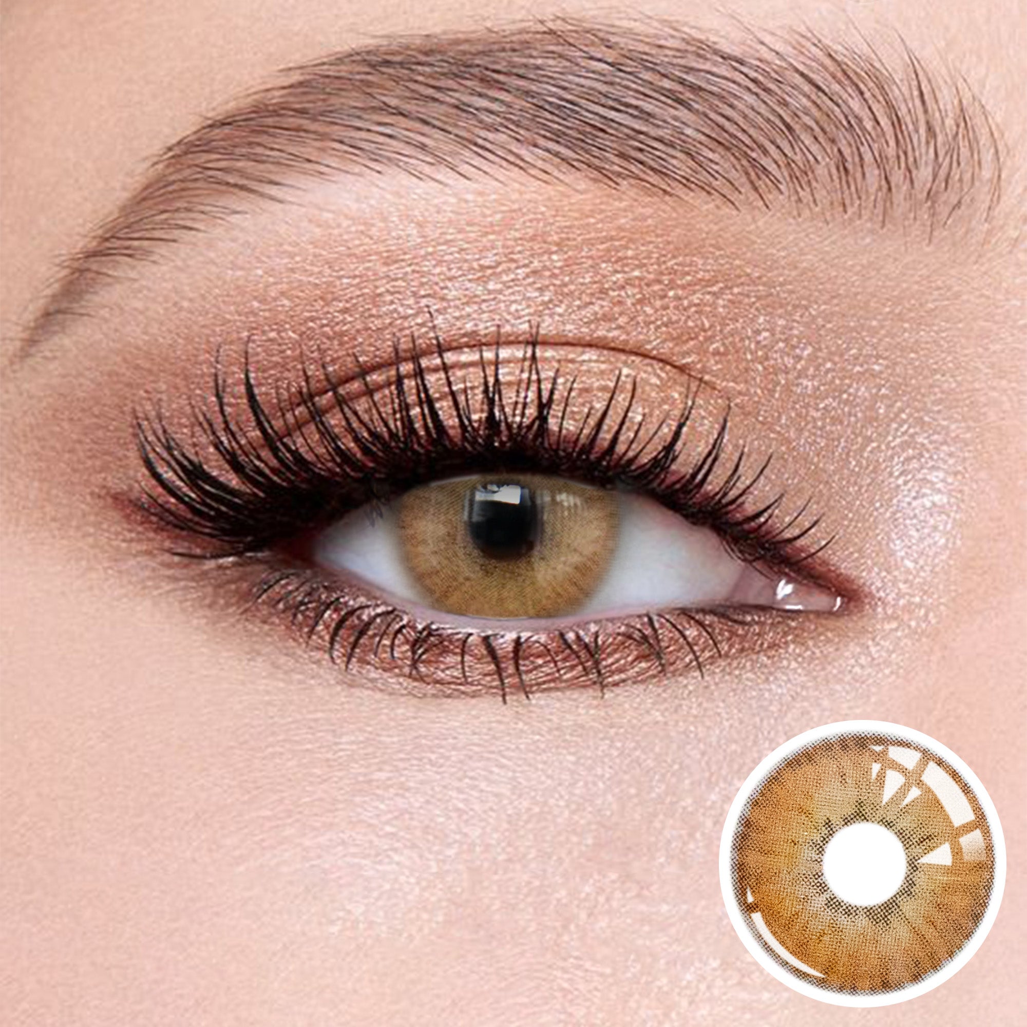 The effect of wearing Transform Brown Contact Lenses, with a close-up of the product in the lower right corner