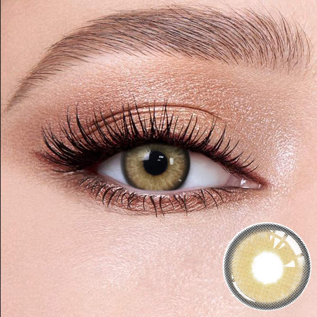 Wooeye Himalayan Brown Contact Lenses | 1 Year