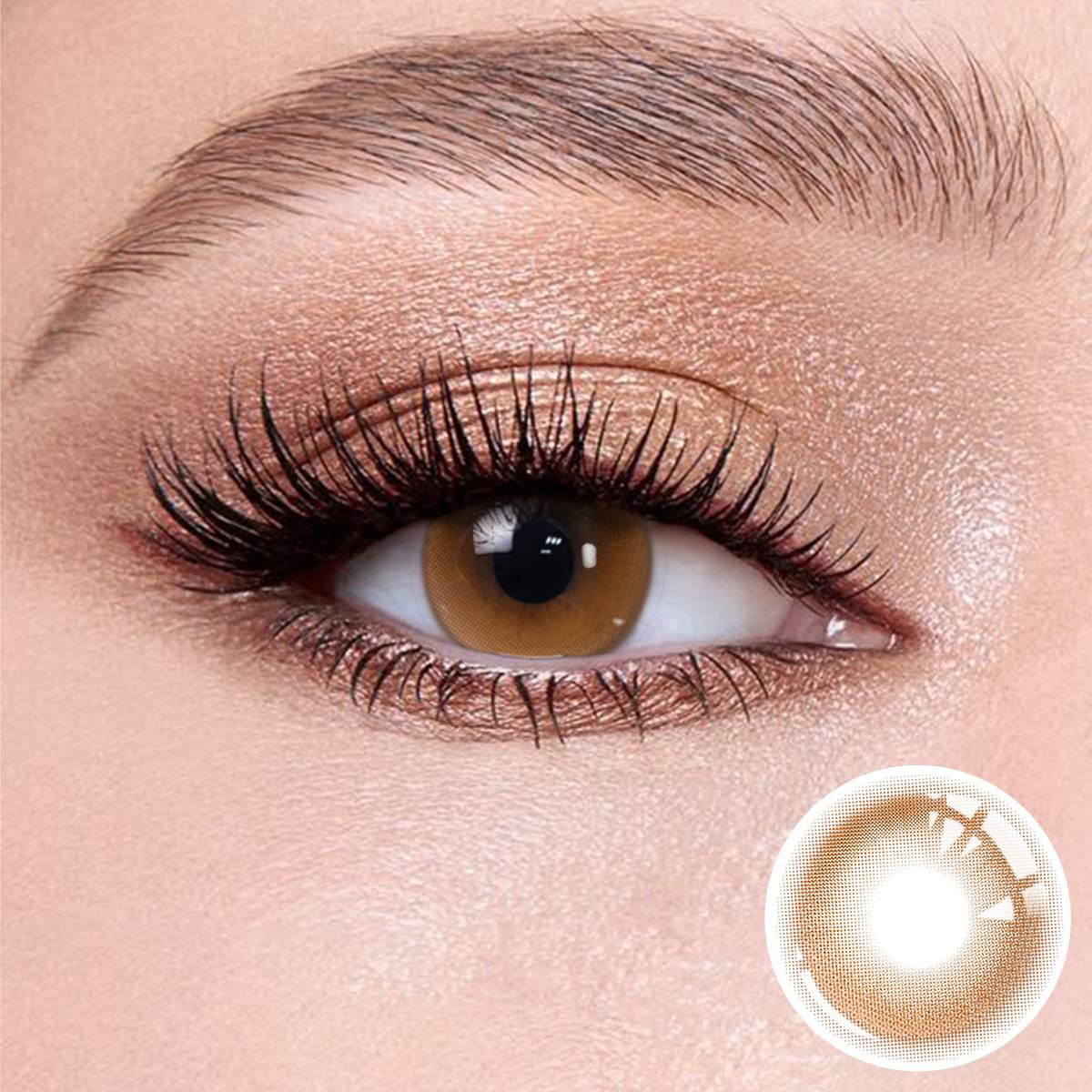 Princess Coffe Brown contacts for a romantic date