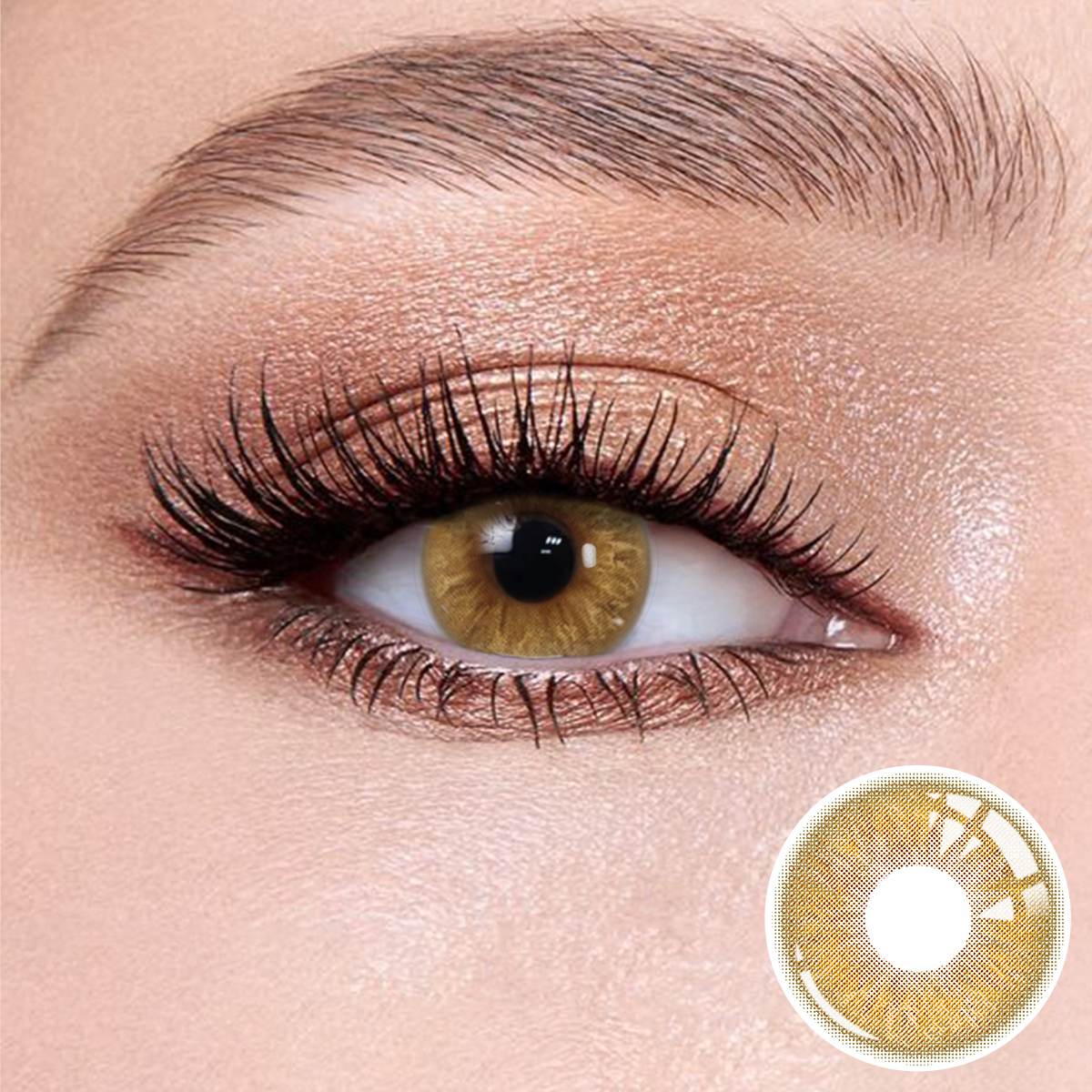 Natural looking Velvet Brown contact lense with soft limbal ring for dark eyes