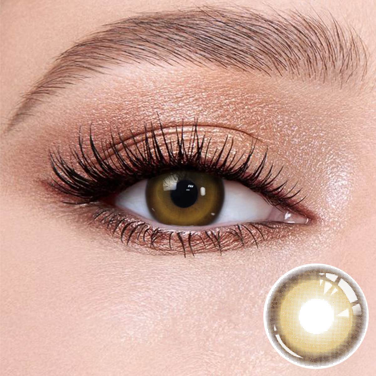 Professional Glass Brown contact lense for office wear
