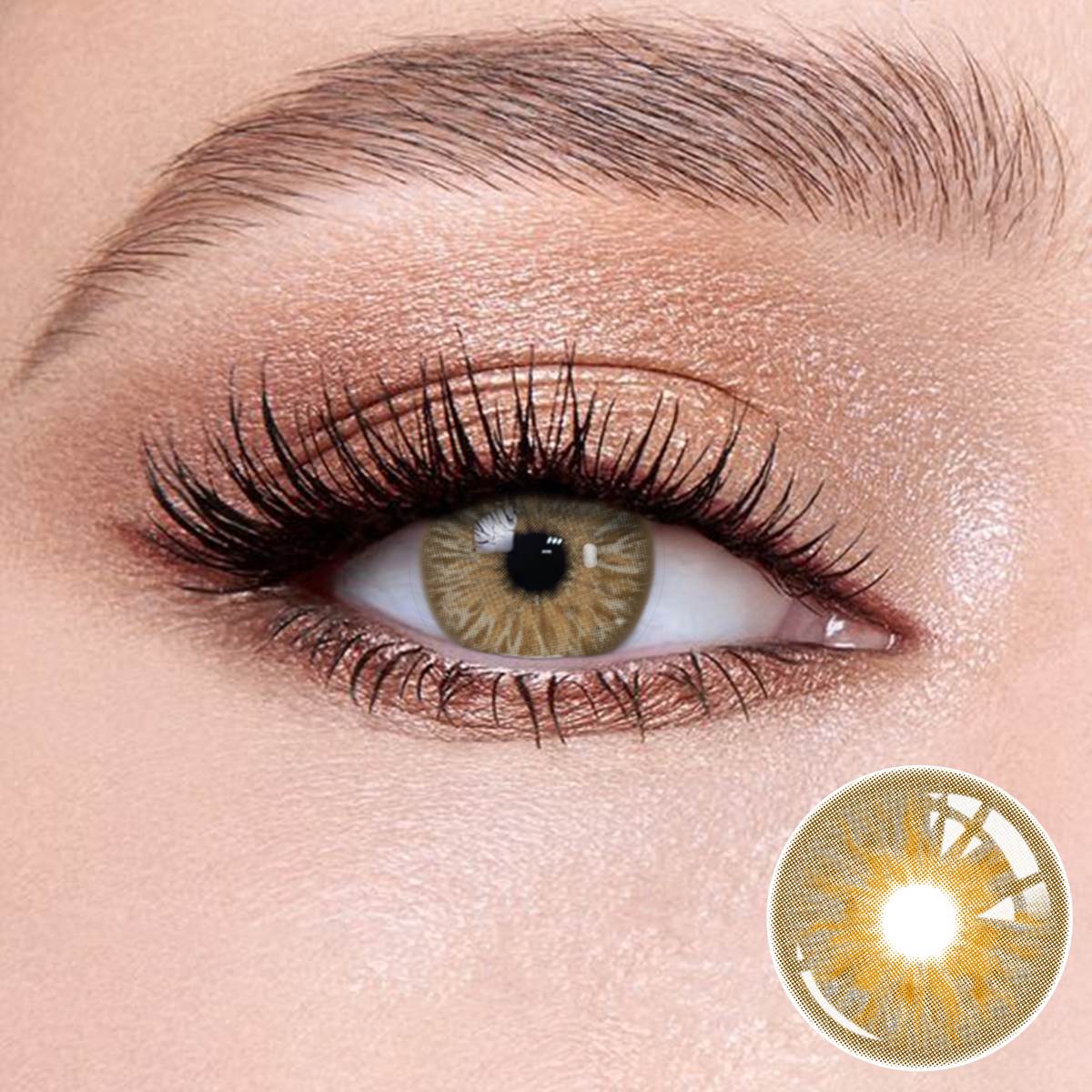 Avatar Brown contacts for a romantic date