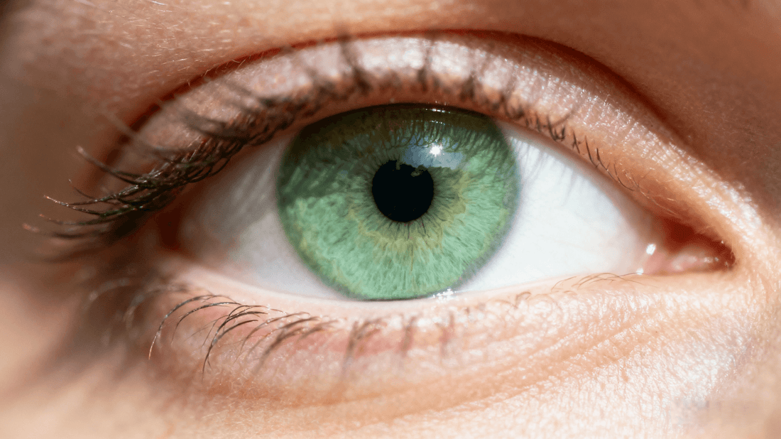 Bright Green Eyes and Their Irresistible Glow – Wooeye