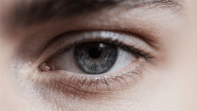 Have You Ever Seen the Rare Beauty of Dark Gray Eyes – Wooeye
