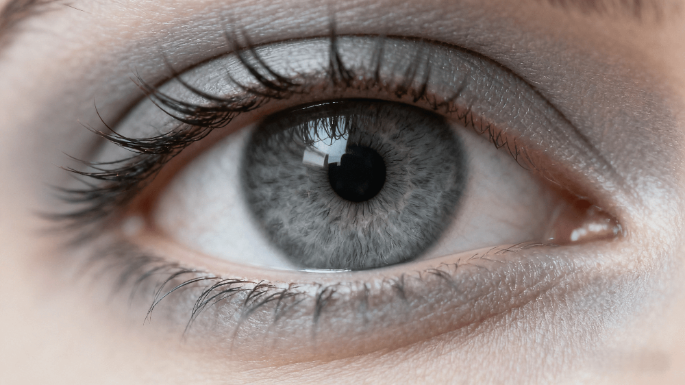 Close-up of a slate gray human eye showing natural beauty, clarity, and calm expression.