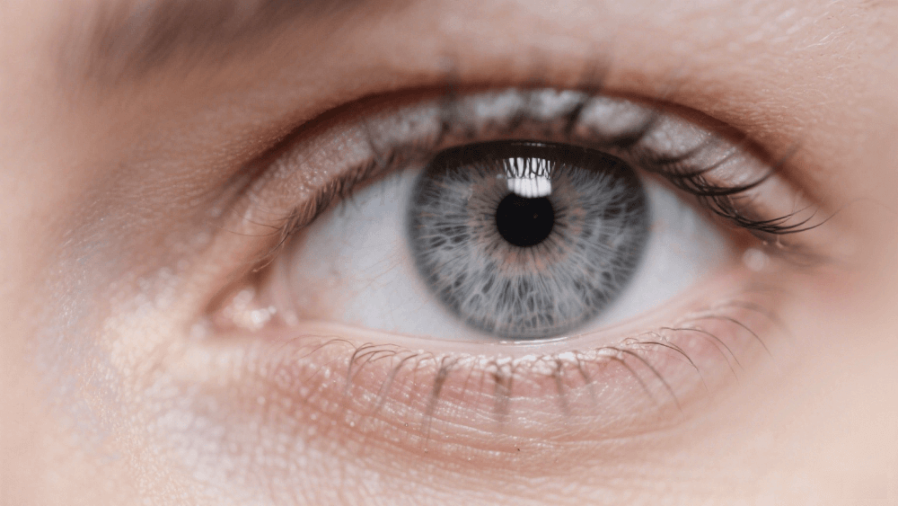 Close-up of a silver gray human eye showing natural beauty, clarity, and calm expression.