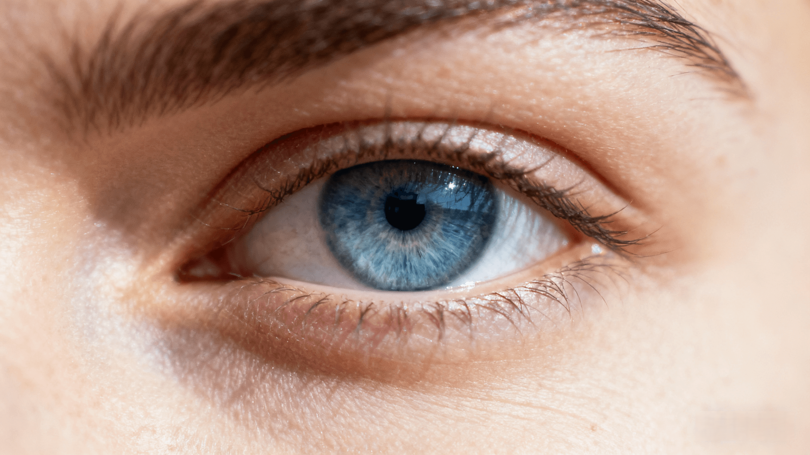 The Rare Beauty of Steel Blue Eyes You Can’t Ignore