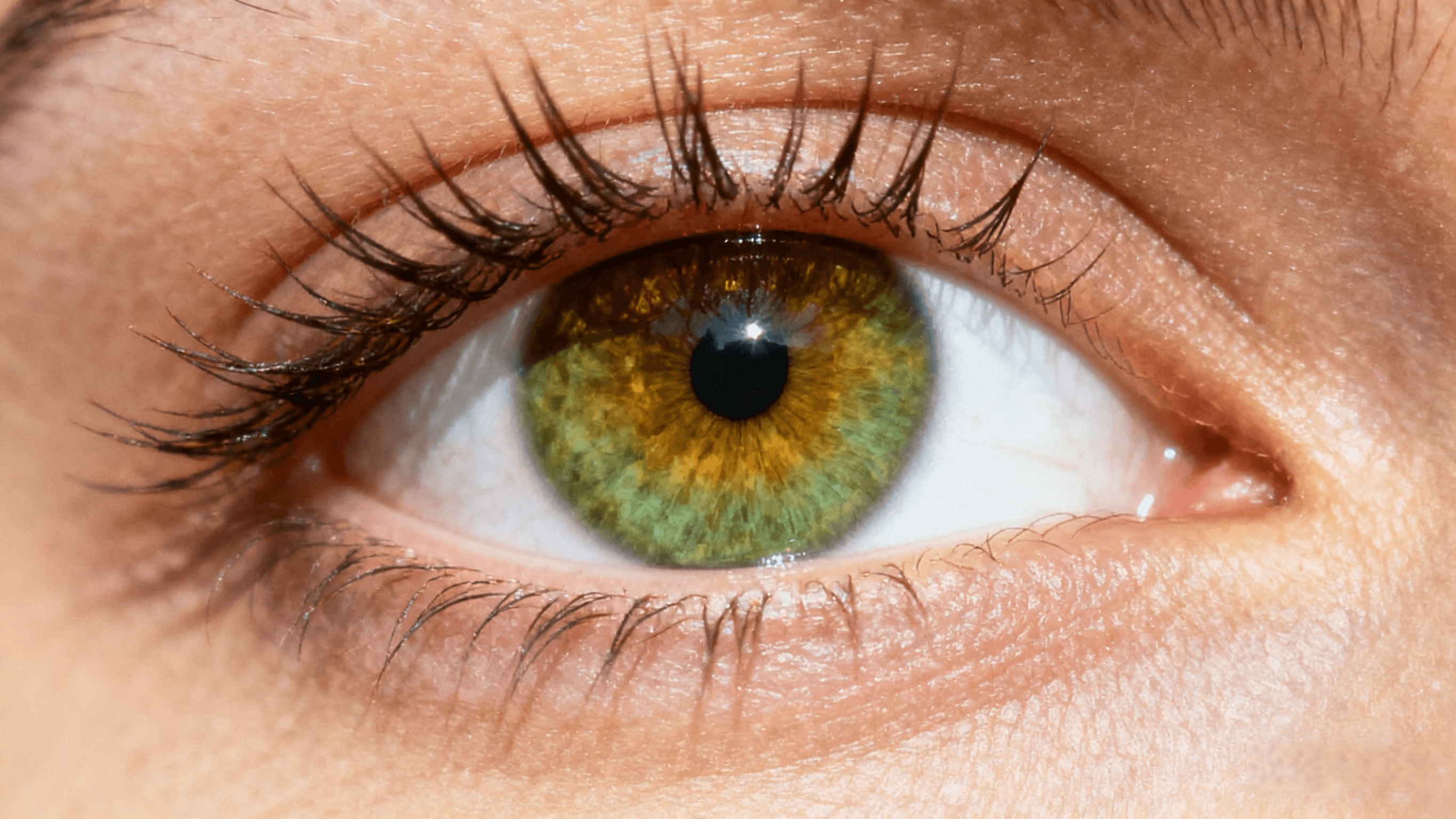 Why Your Amber Green Eyes Are Unique