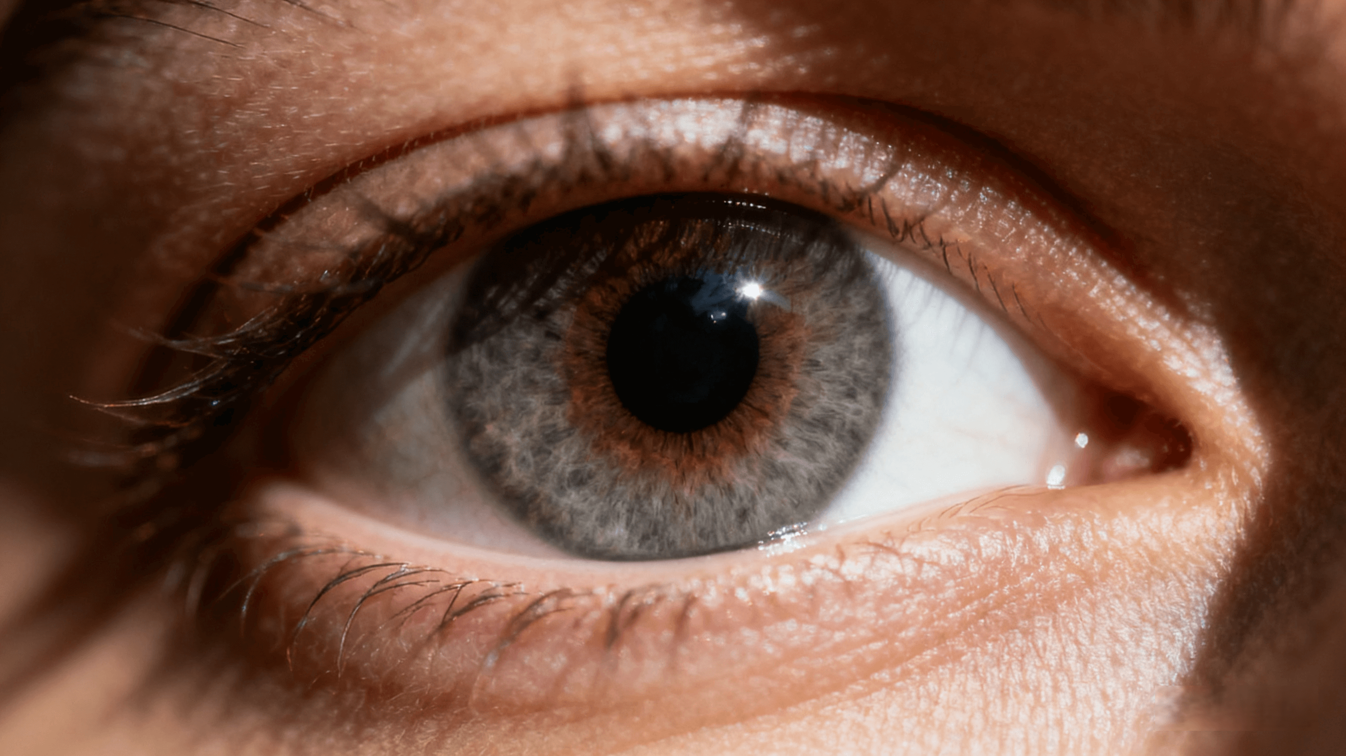 The secret glow of gray brown eyes