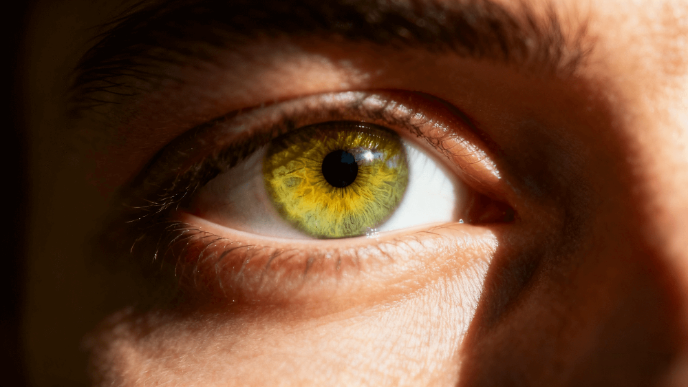 Close-up of a yellow green human eye showing natural beauty, clarity, and calm expression.