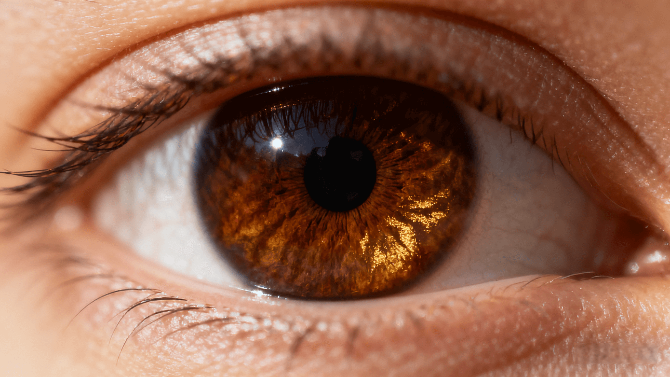 Dark Amber Eyes: Deep and Captivating Eye Color Analysis
