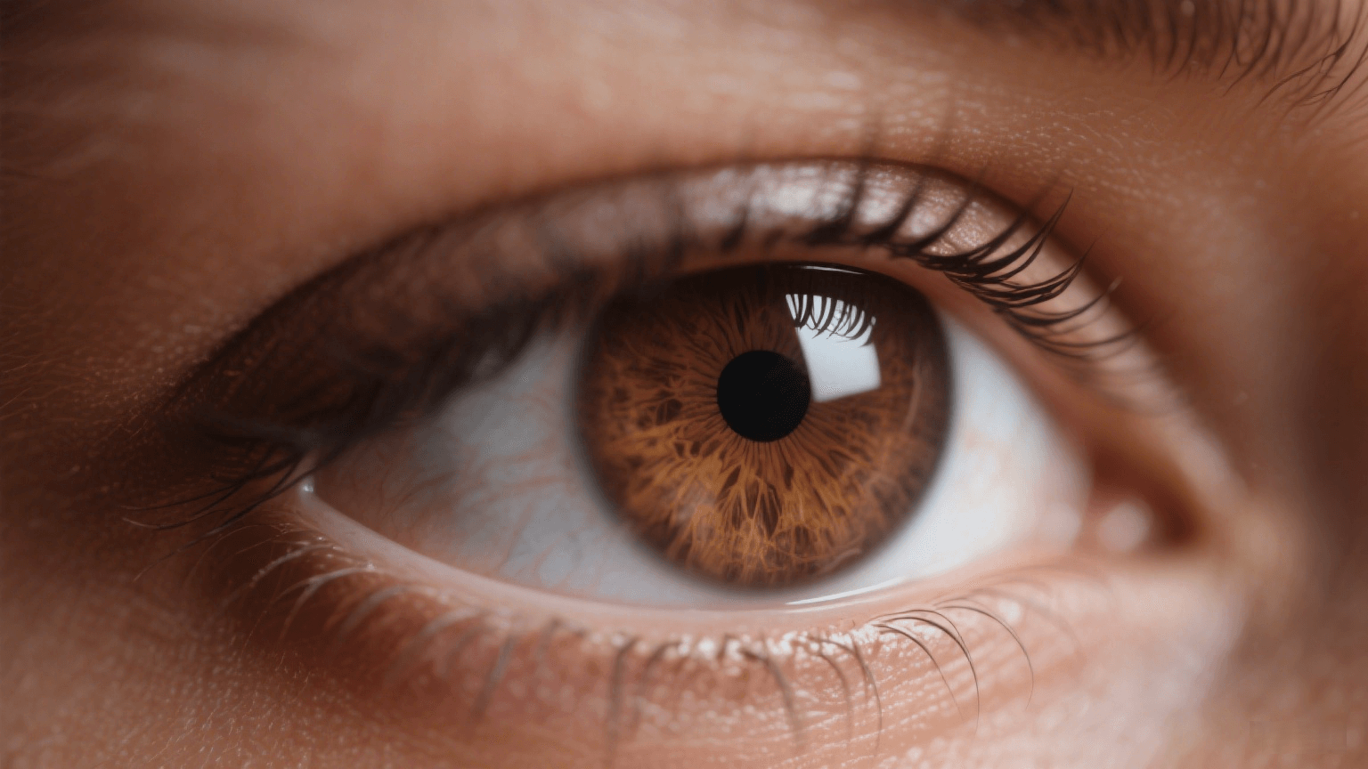 Close-up of a chocolate brown human eye showing natural beauty, clarity, and calm expression.
