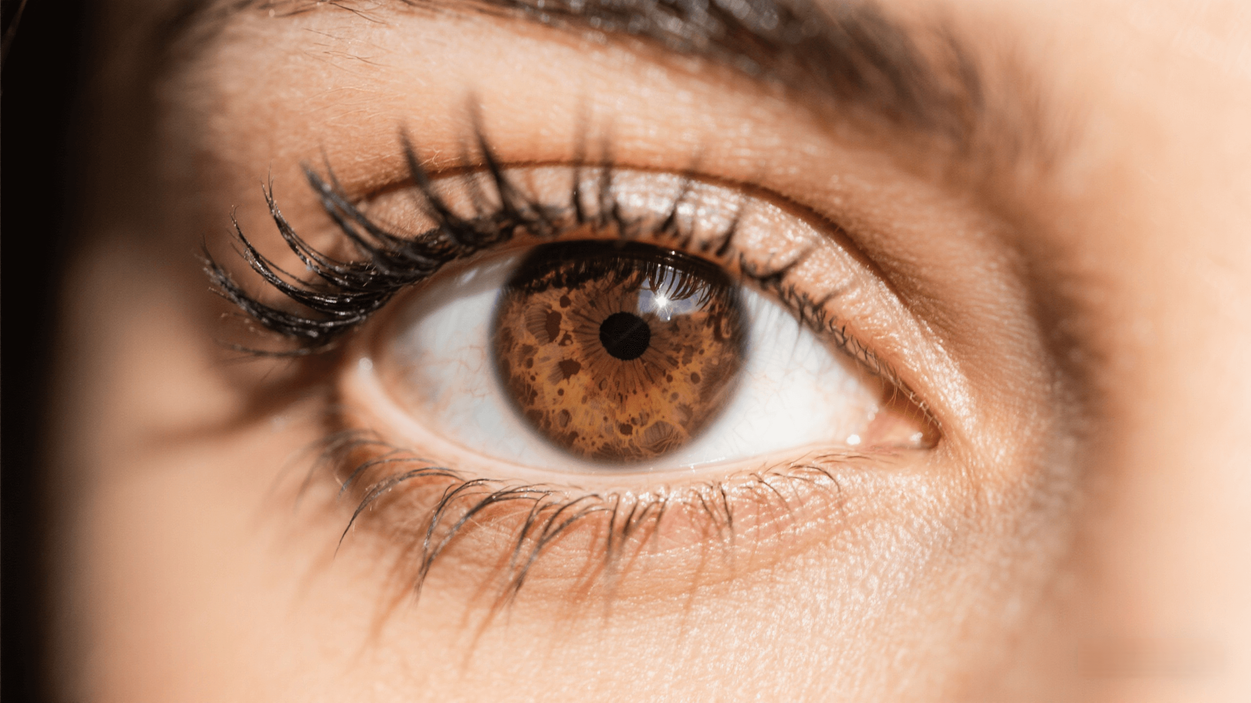 The Beauty and Meaning of Cocoa Brown Eyes Revealed