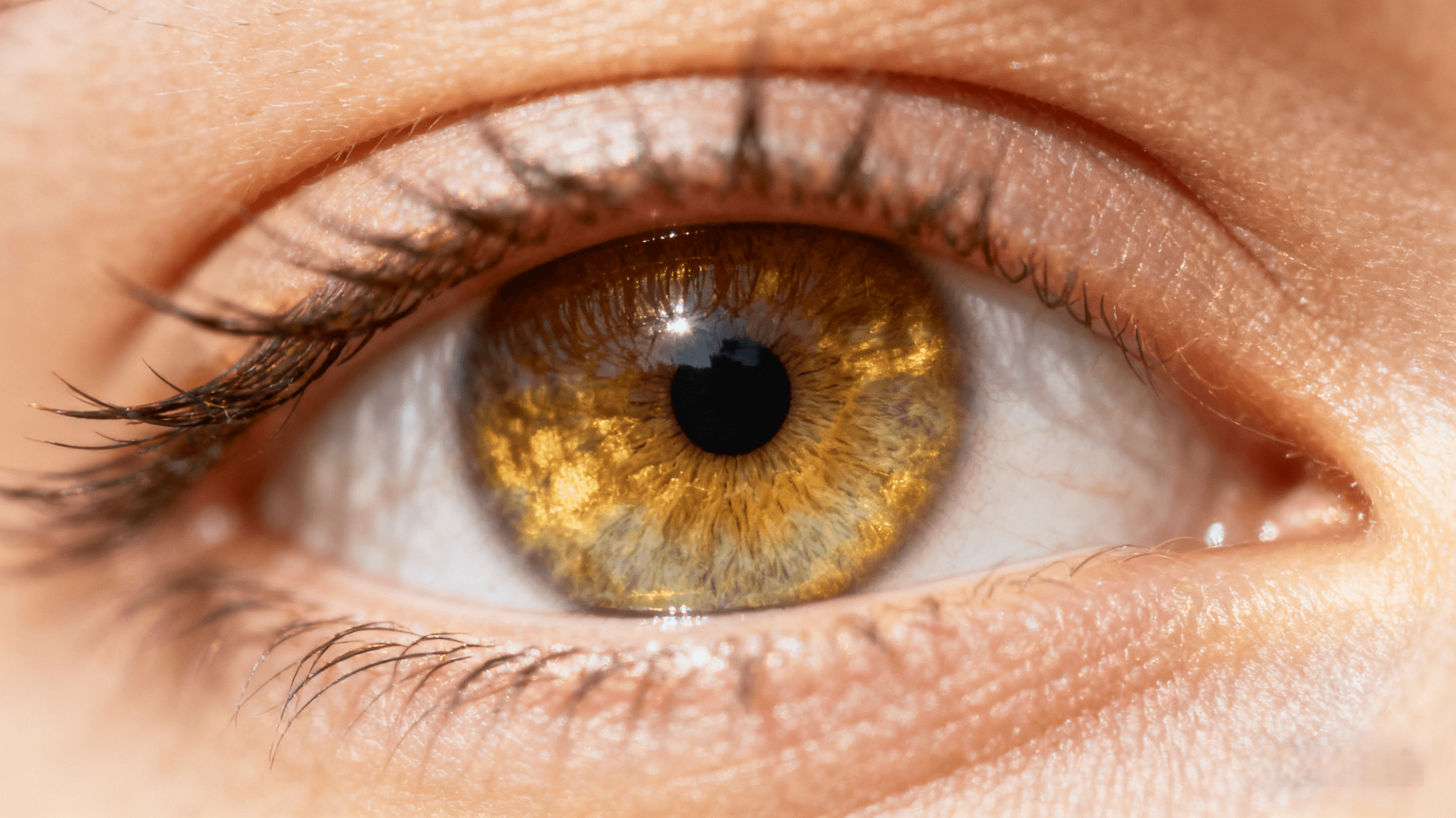 The Enigmatic Beauty of Golden Hazel Eyes Explained