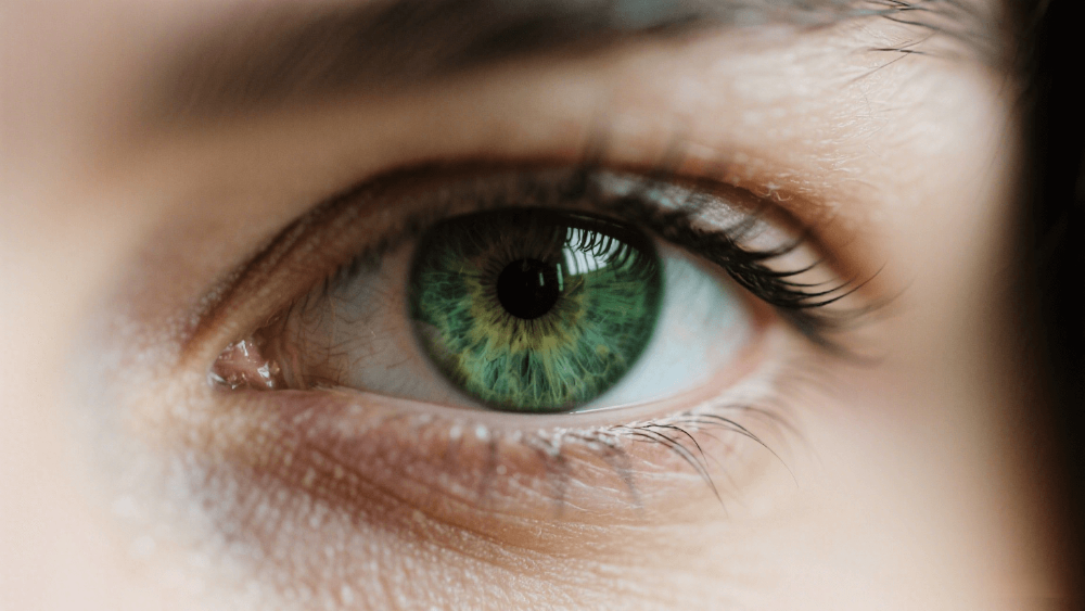 Close-up of a forest green eye with intricate iris details and long eyelashes.