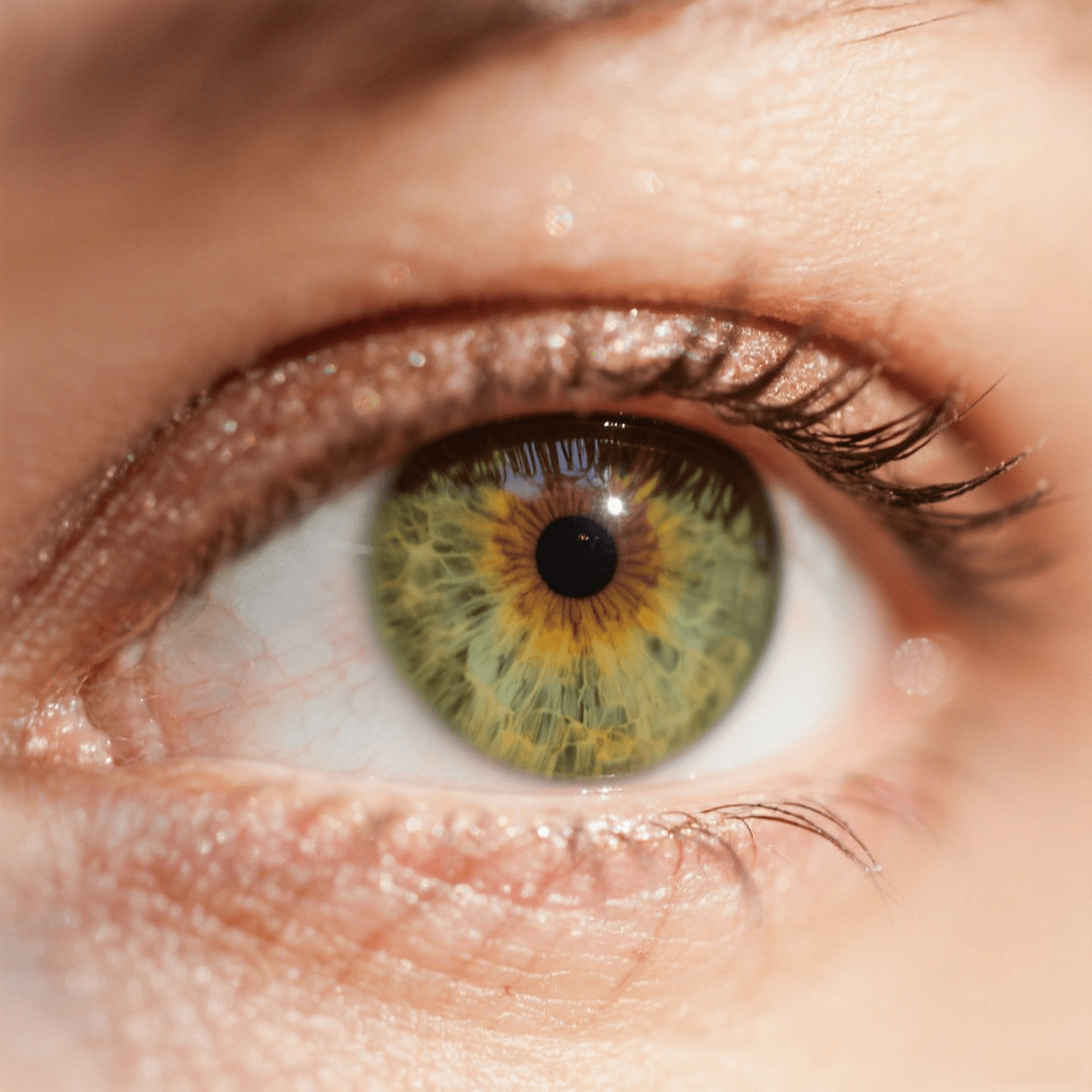 Olive Green Eyes: The Rare Blend of Green and Brown Beauty