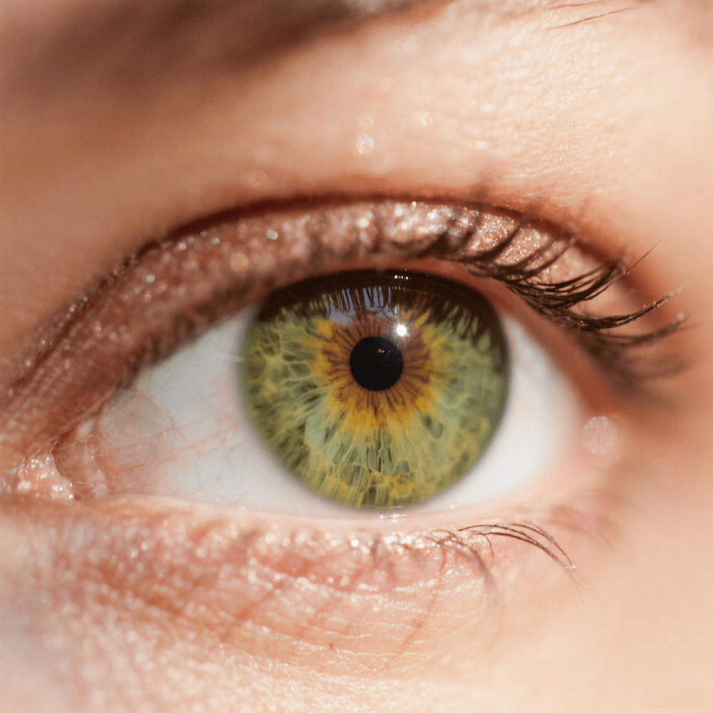 Close-up of a olive green eye with intricate iris details and long eyelashes.