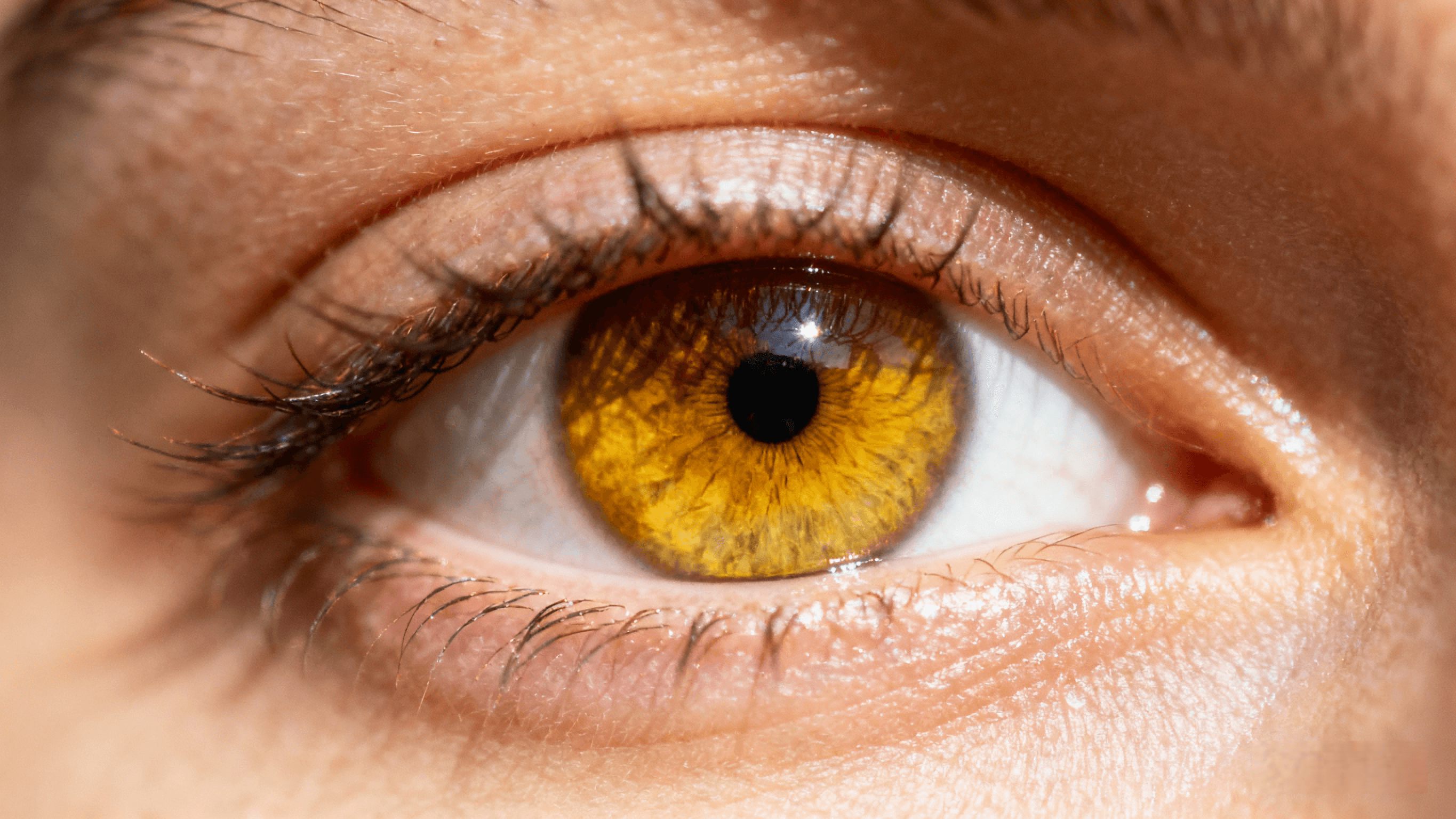 Unlocking the Magic of Yellow Amber Eyes