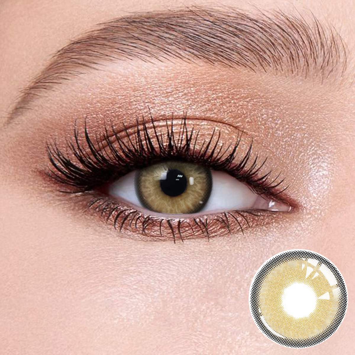 Wooeye Himalayan Brown Contact Lenses | 1 Year