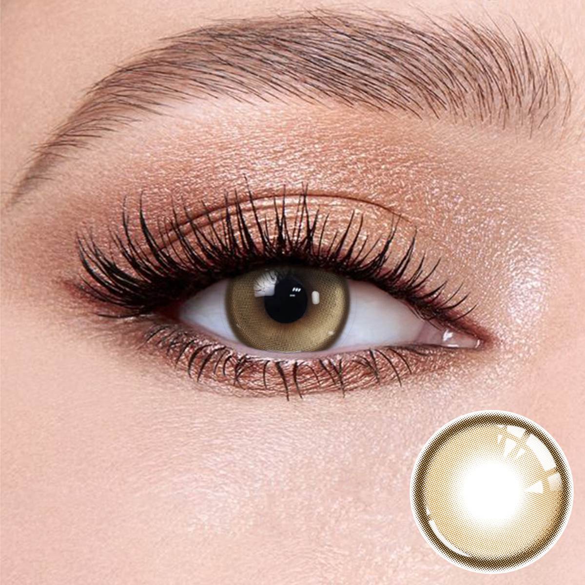 Wooeye Acorn Honey Grey Contact Lenses | 1 Day,10 Pcs