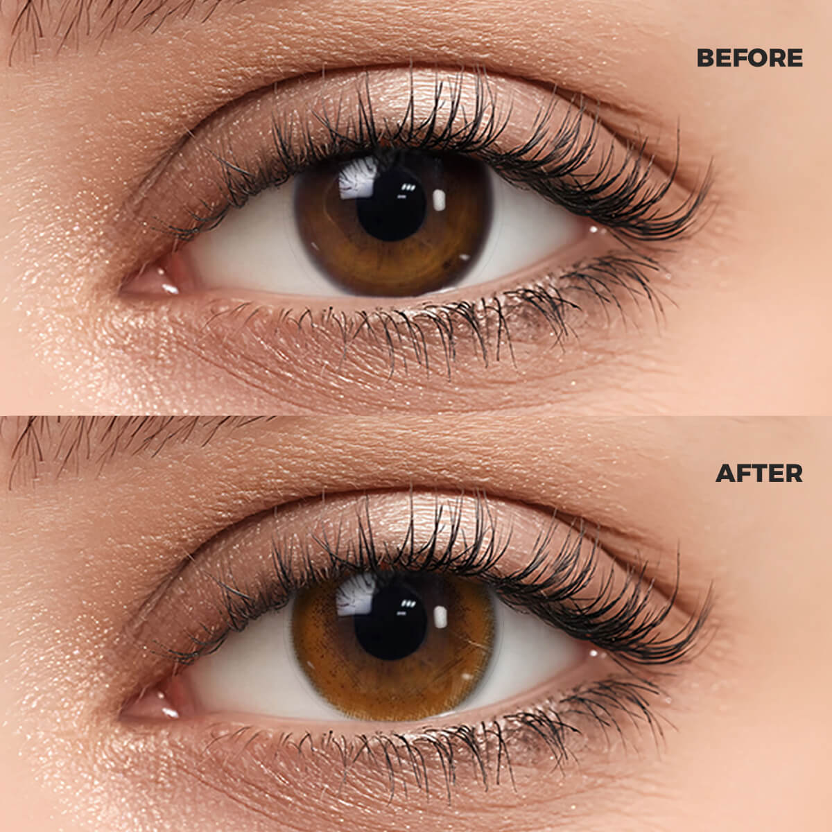 A macro photography comparison of a woman's eye. The top section, marked "BEFORE," shows the natural dark brown iris. The bottom section, marked "AFTER," features the same eye wearing a realistic and enhanced Coffee Brown contact lense.