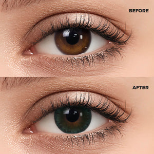 Queen Green I Contact Lenses Color Contacts specifications: 14.2mm diameter, 8.6mm base curve, and 40% water content for daily comfort.