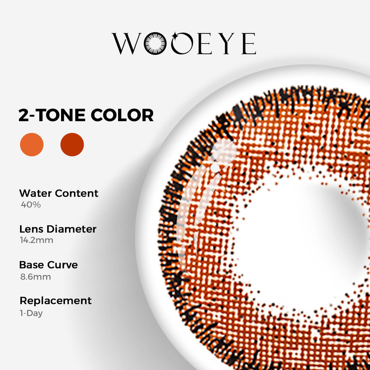 Autumn Sycamore Brown Contact Lenses Color Contacts specifications: 14.2mm diameter, 8.6mm base curve, and 40% water content for daily comfort.