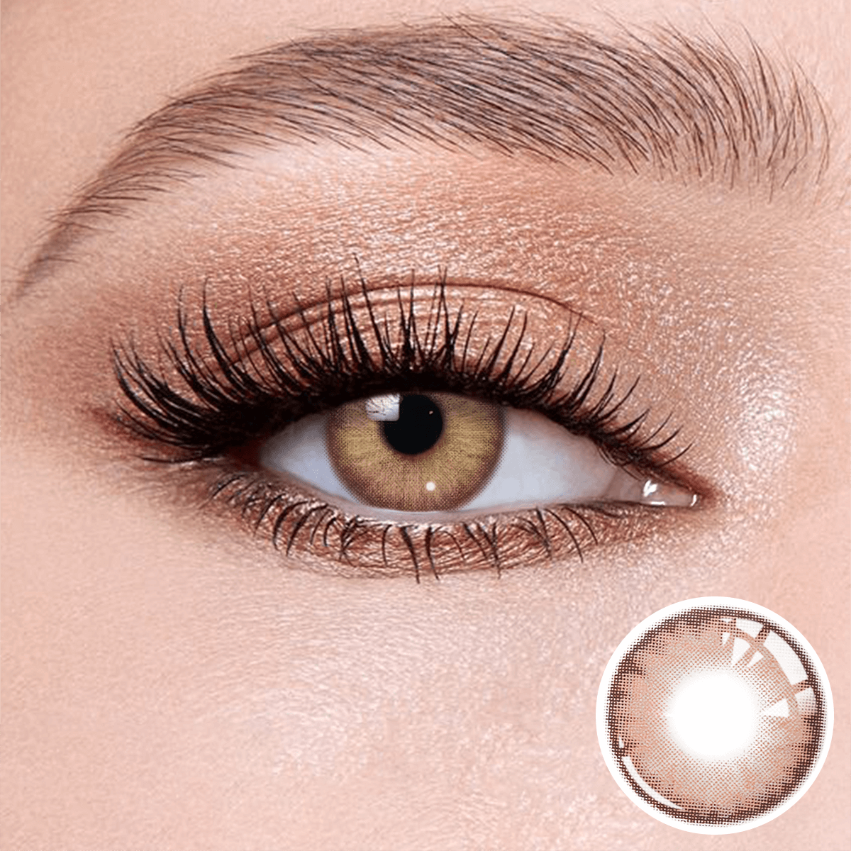 Wooeye Queen Brown III  Contact Lenses | 1 Year