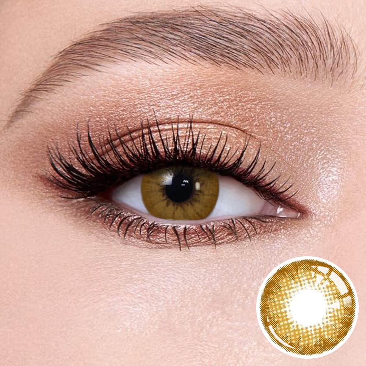 Wooeye Latte Brown Contact Lenses | 1 Day,10 Pcs