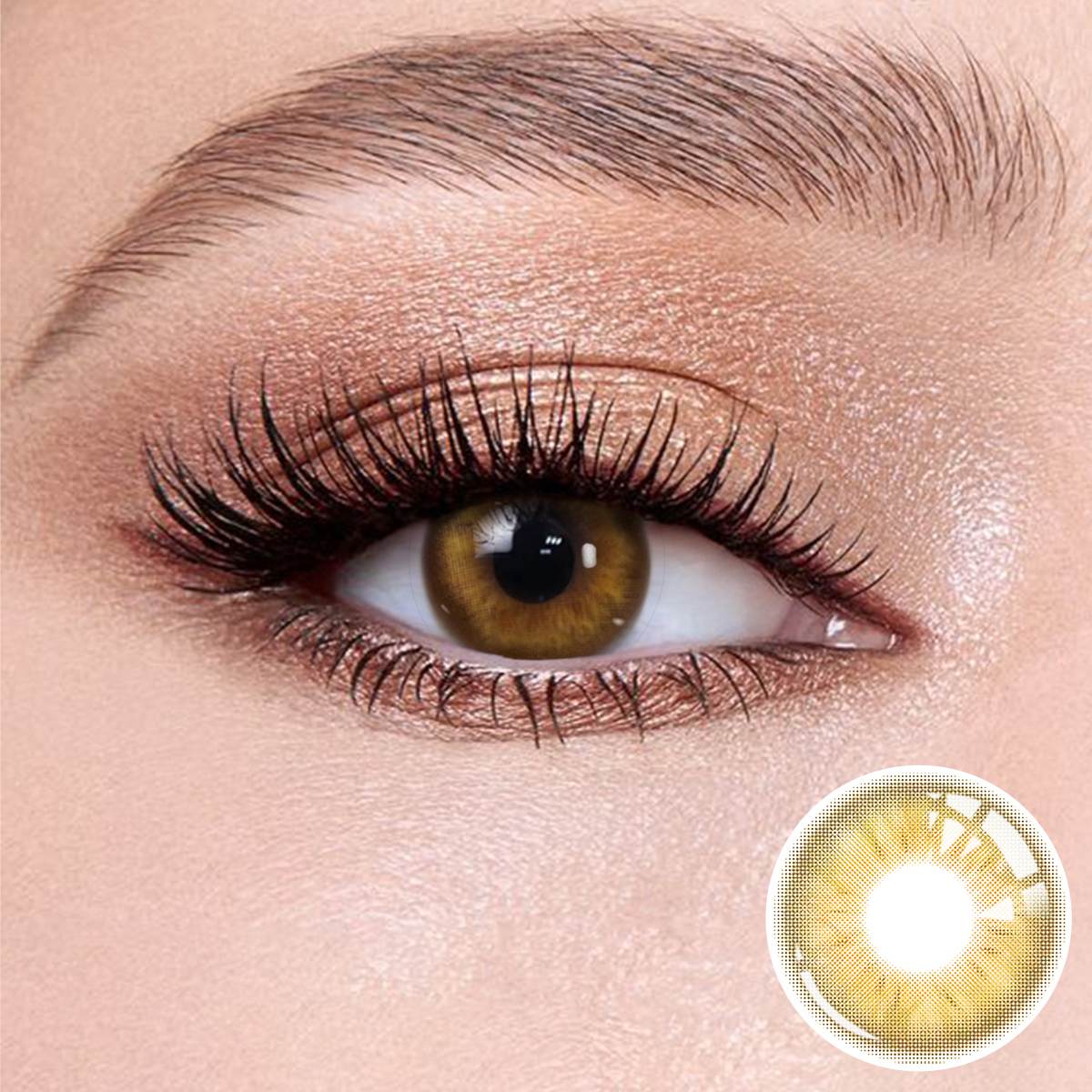 Professional Velvet Brown contact lense for office wear