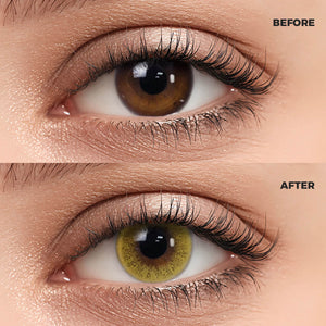 A macro photography comparison of a woman's eye. The top section, marked "BEFORE," shows the natural dark brown iris. The bottom section, marked "AFTER," features the same eye wearing a realistic and enhanced Queen Brown II Contact Lenses.