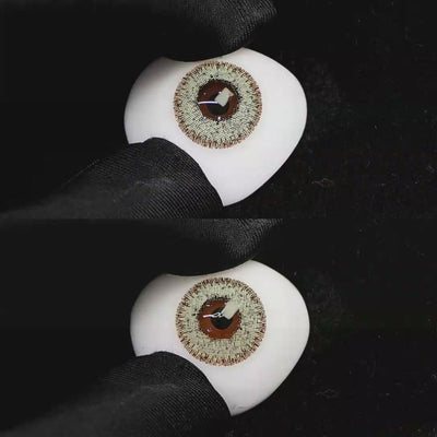 A simulated brown prosthetic eye showing the visual transformation effect of wearing Wooeye Cream Flaxseed Gray colored contact lenses against a black background.