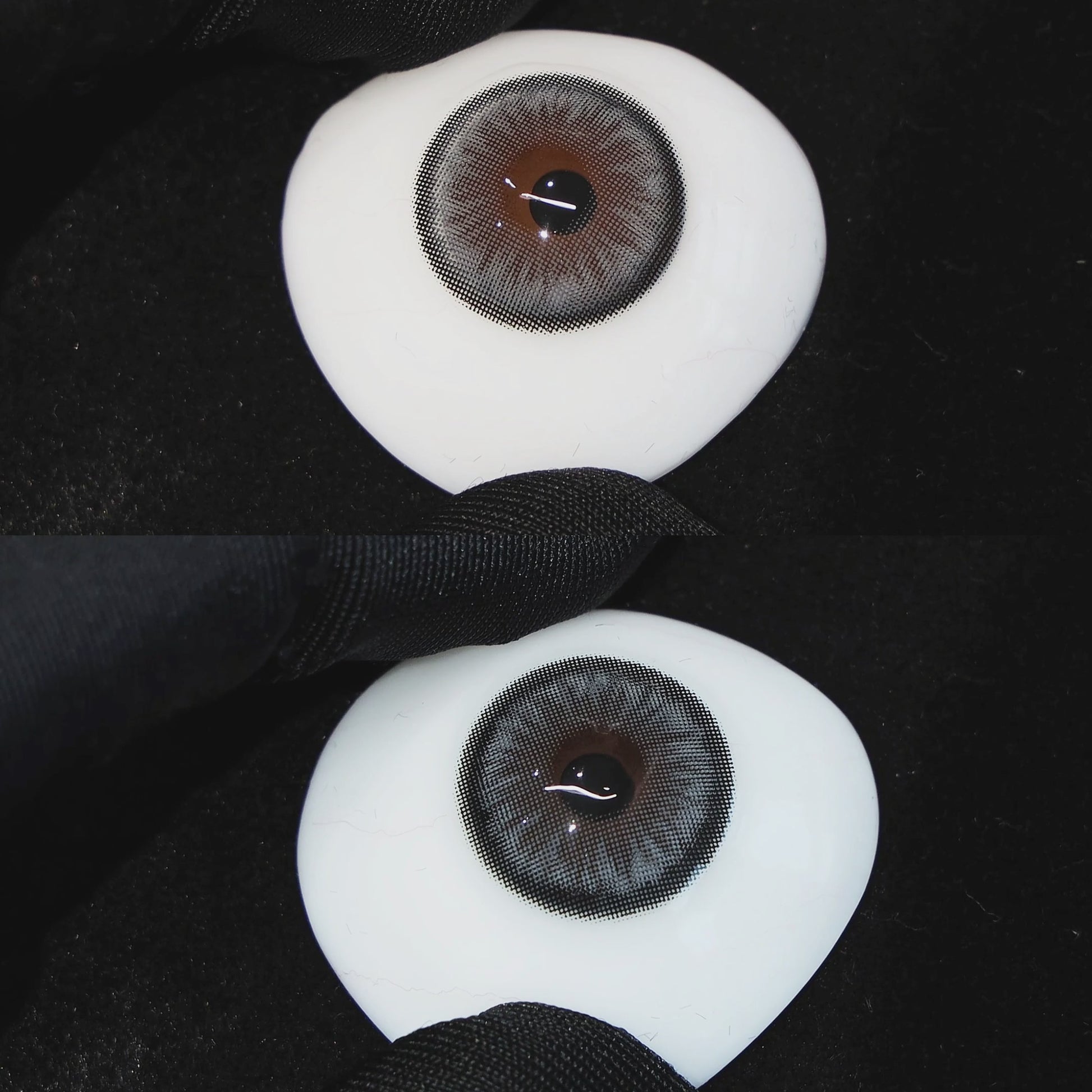 Sugar Blue contact lenses on a brown simulated eyeball with a black background