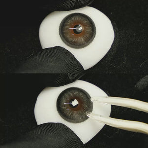 A simulated brown prosthetic eye showing the visual transformation effect of wearing Acorn Amber Grey colored contact lenses against a black background.